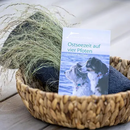 Ferienhaus Modernes Mit Sauna, Eingezaeuntem Garten Und Strandnaehe Ideal Fuer Familien, Freunde Und Hundeliebhaber *